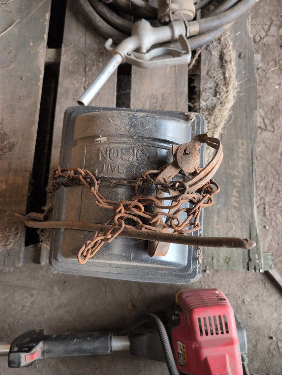 BAIT BOX AND TRAP