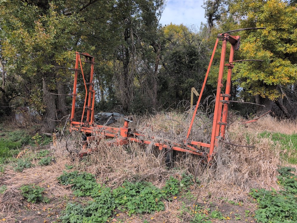 NH3 BAR