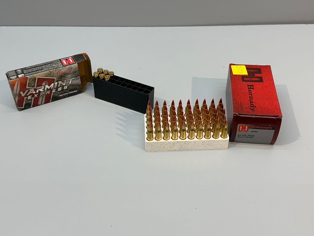 (I-73) [50] ROUNDS HORNADY 22-250 REM AMMO 50 GR V MAX, [6] ROUNDS HORNADY 22-250 REM 55 GR V-MAX 