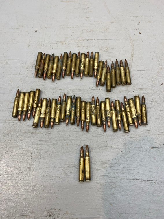 (I-1180) [50] .223 CARTRIDGES, LIGHT CORROSION