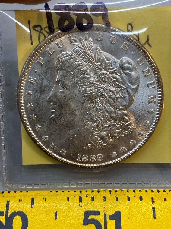 (I-828) 1889 MORGAN DOLLAR (BRILLIANT UNCIRCULATED)
