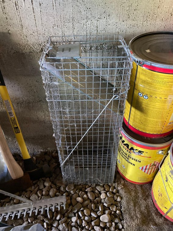 LIVE TRAP, 10"W X 12"H X 32"D