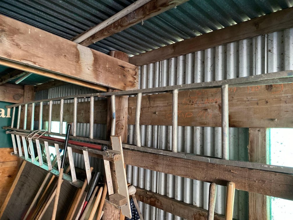 10' ALUMINUM LADDER, 13' ALUMINUM LADDER, AND POLE SAW