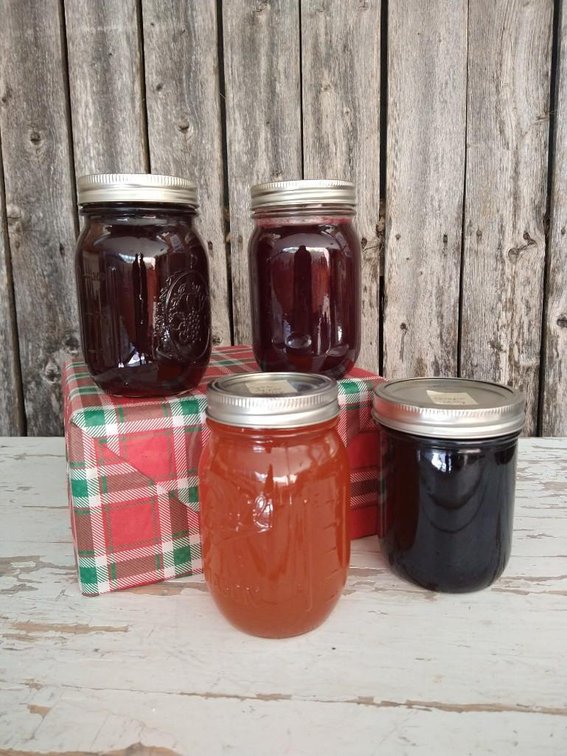 HOMEMADE JELLY VARIETY BOX. INCLUDES CHERRY, GRAPE, CRAB APPLE, AND CHOKE CHERRY JELLY.