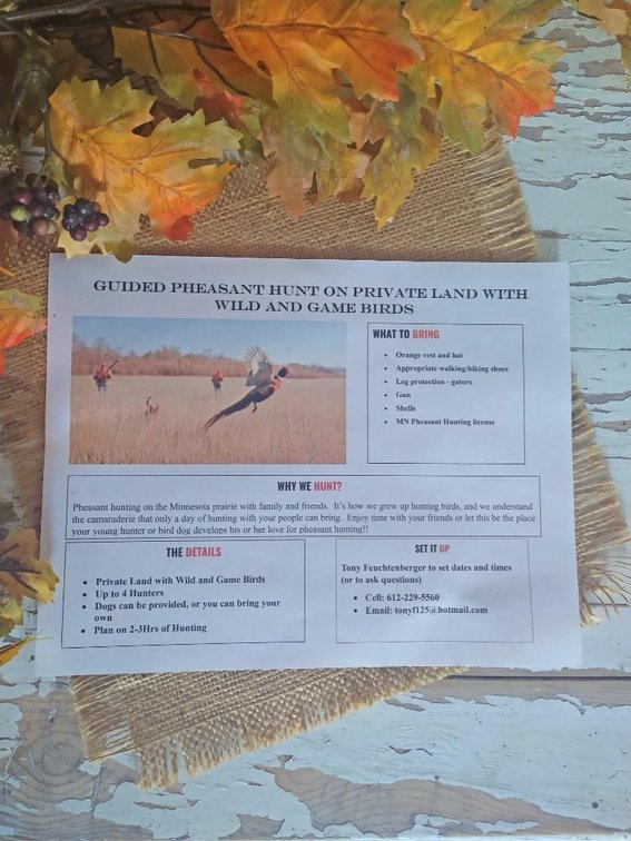 PHEASANT HUNTING TRIP. PHEASANT HUNTING ON THE MINNESOTA PRAIRIE WITH FAMILY AND FRIENDS. UP TO 4 H
