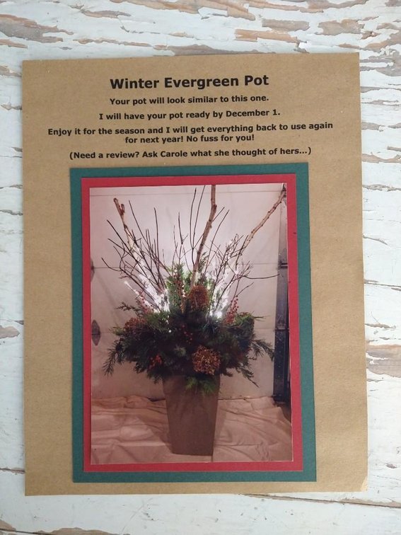 EVERGREEN POT. THE POT WILL BE READY BY DECEMBER 1. ENJOY IT FOR THE SEASON AND EVERYTHING WILL BE R