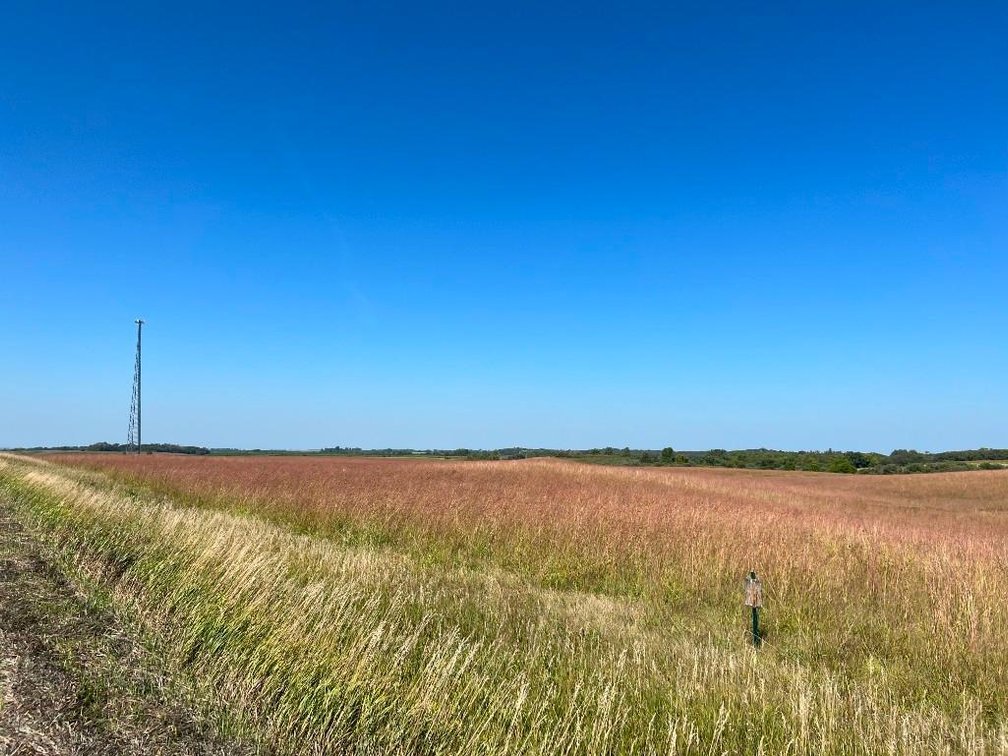 Image for JIM & CINDY HJELM ONLINE ONLY LAND AUCTION