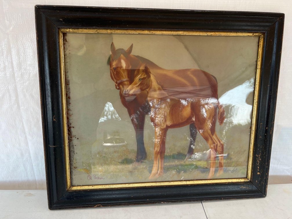 (I-65) VINTAGE FRAMED 1950'S SIGNED CW ANDERSON HORSE PICTURE