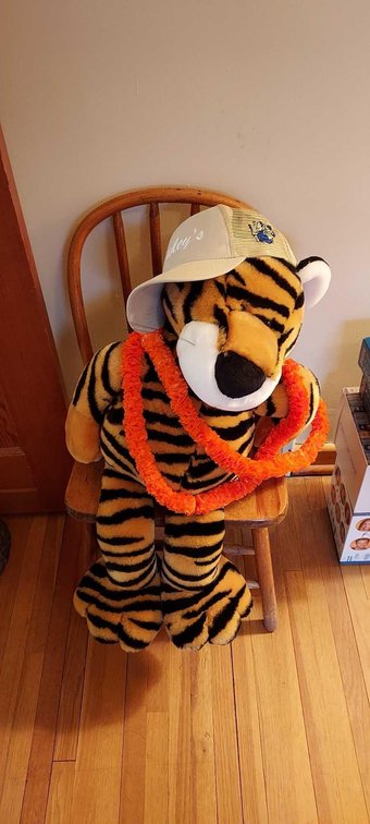 STUFFED ANIMAL TIGER AND A CHILD'S CHAIR