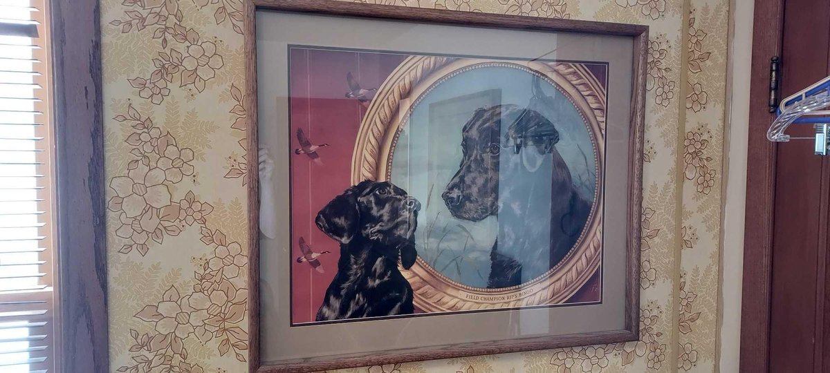 (3) FRAMED LABRADOR PRINTS, (2) UNFRAMED LABRADOR PRINTS, CERAMIC LABRADOR DECORATION