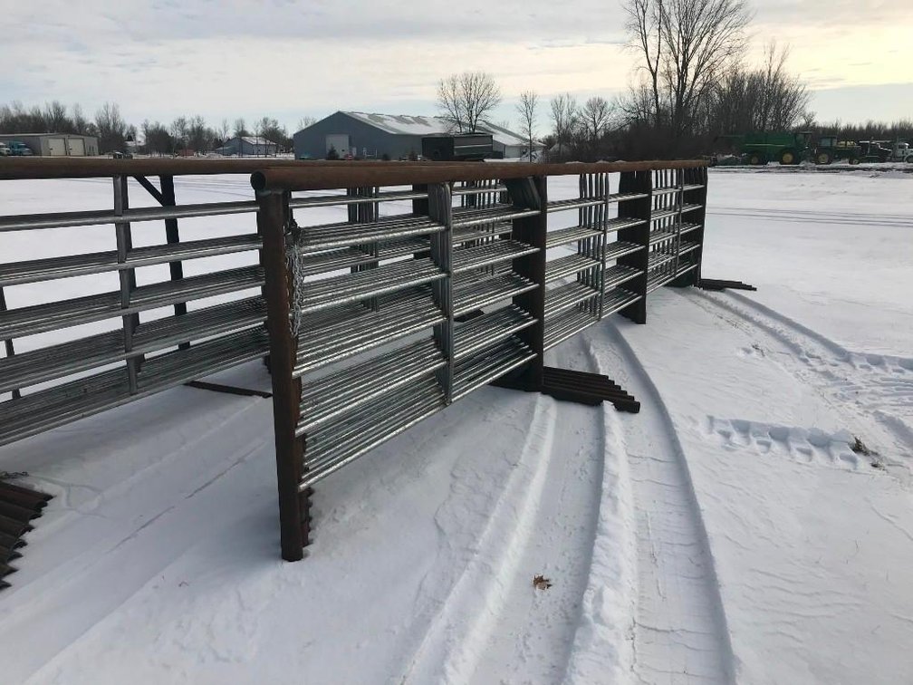 (I-526) (5) 5' X 20' FREE STANDING CATTLE PANELS