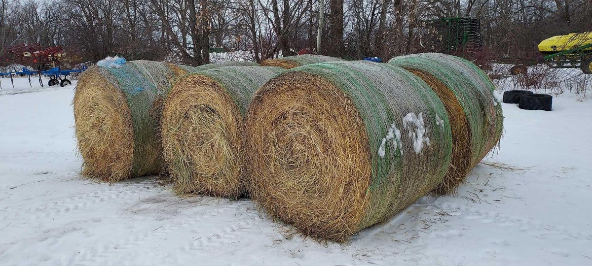 (I-300) (6) 5' X 6' GRASS HAY ROUND BALES, 1ST CROP 2022 CUTTING, NET WRAPPED