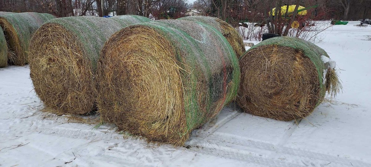 (I-301) (5) 5' X 6' GRASS HAY ROUND BALES, 1ST CROP 2022 CUTTING, NET WRAPPED