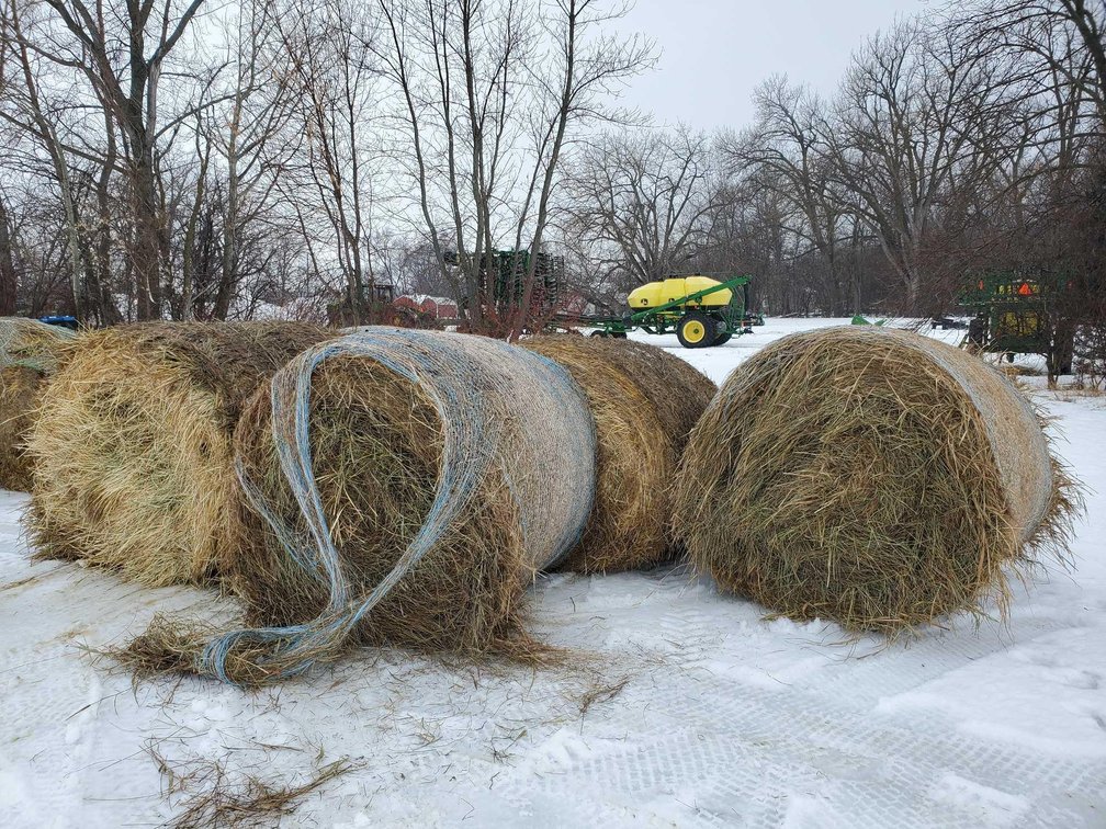(I-302) (5) 5' X 6' GRASS HAY ROUND BALES, 1ST CROP 2022 CUTTING, NET WRAPPED