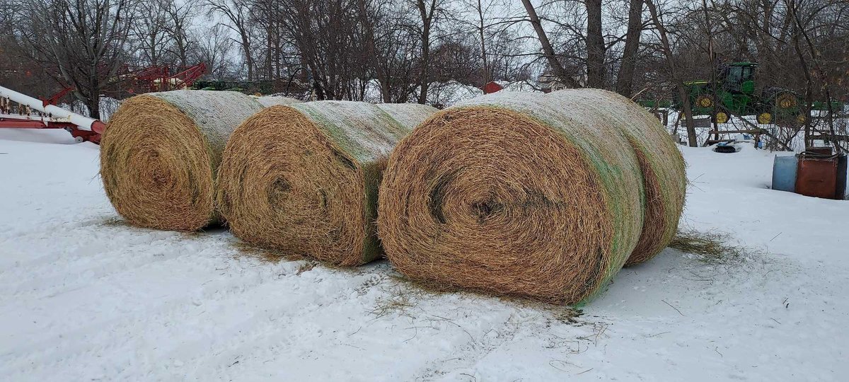 (I-542) (6) ROUND BALES, 1260 LBS AVERAGE WEIGHT, 2ND 2022 CUTTING ALFALFA CROP, STORED IN SHED, NET