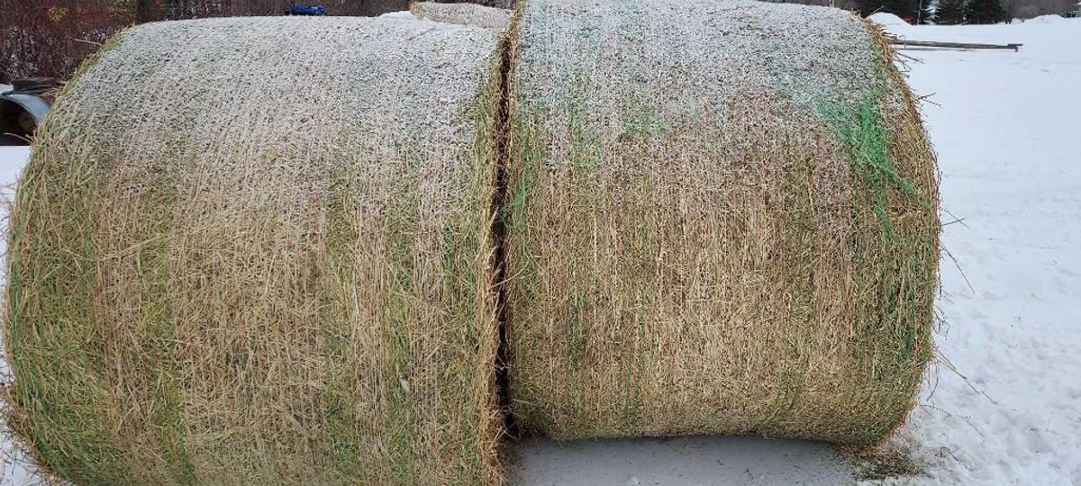 (I-543) (10) ROUND BALES, 1260 LBS AVERAGE WEIGHT, 2ND 2022 CUTTING ALFALFA CROP, STORED IN SHED, NE
