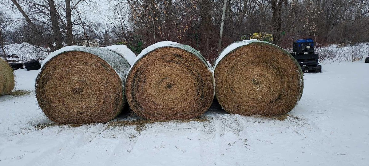 (I-545) (6) ROUND BALES, 1260 LBS AVERAGE WEIGHT, 3RD 2022 CUTTING ALFALFA CROP, STORED OUTSIDE, NET