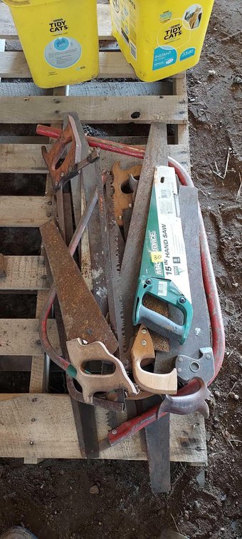 ASSORTMENT OF VARIOUS SAWS