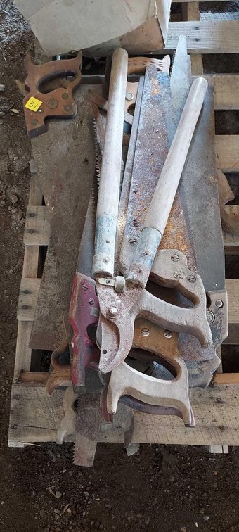 ASSORTMENT OF VARIOUS SAWS, AND A LOPPER