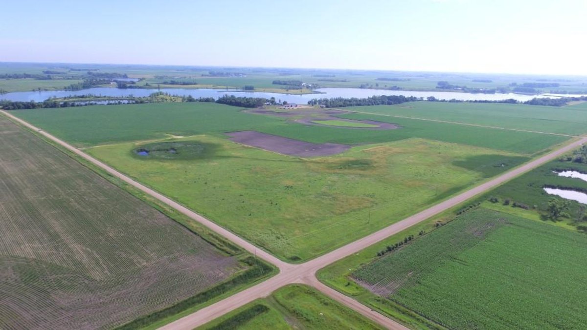 Image for ALVIN HANSON ESTATE SWIFT COUNTY FARM LAND ONLINE ONLY AUCTION 100+/- TILLABLE ACRES