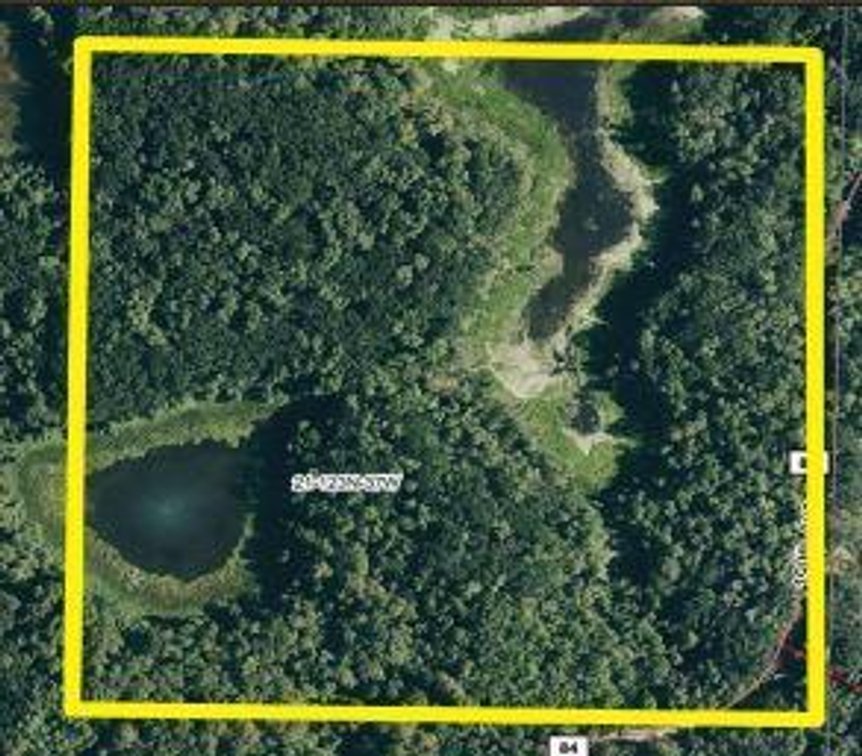 Image for DAVID W. BOHMER FAMILY TRUST POPE COUNTY HUNTING / RECREATION LAND ONLINE ONLY AUCTION
