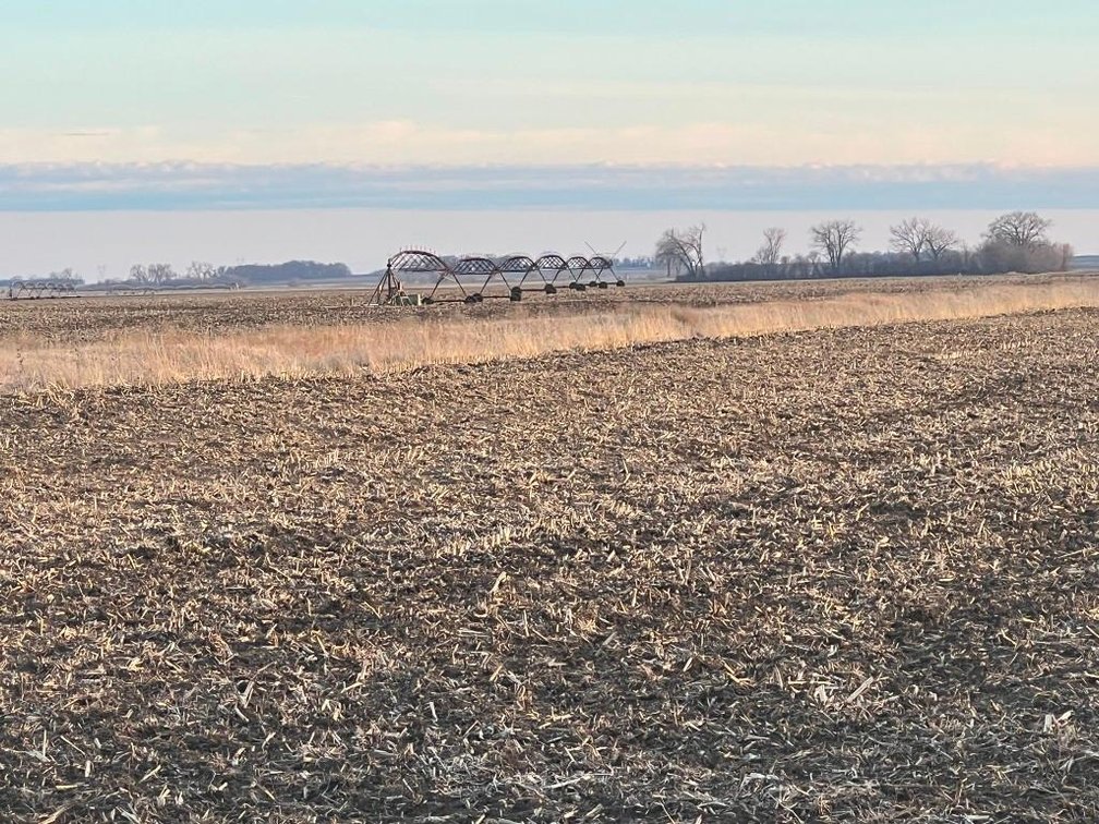 Image for MICHAEL & RENAE OLSON STEVENS COUNTY FARMLAND AUCTION