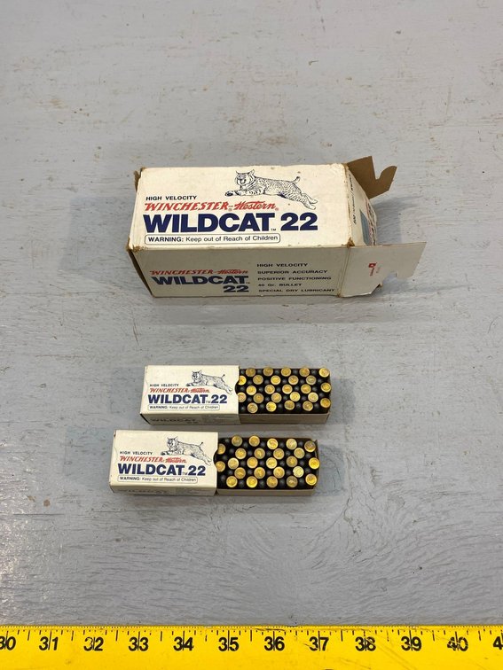 (I-42) [10] BOXES OF 50 .22 WINCHESTER WESTERN CARTRIDGES