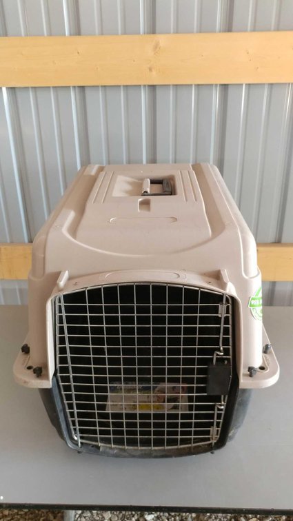 (I-37) DOSKOCIL PET TAXI 25-30LB RATING