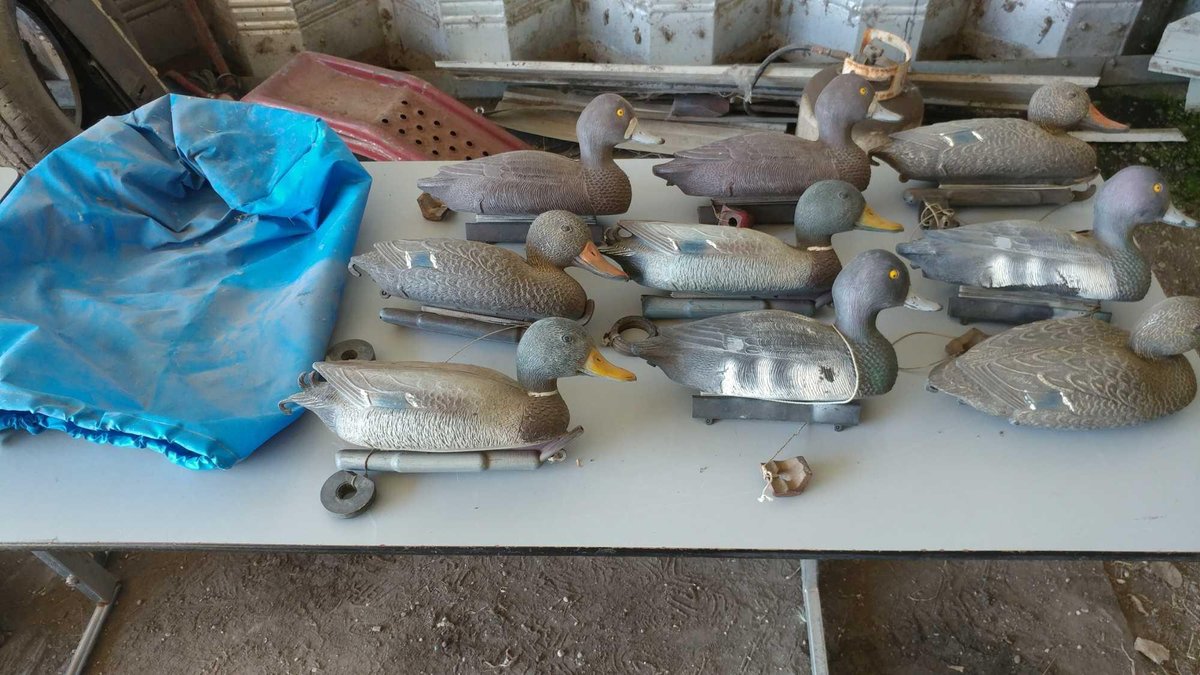 ASSORTMENT OF DUCK DECOYS WITH BAG