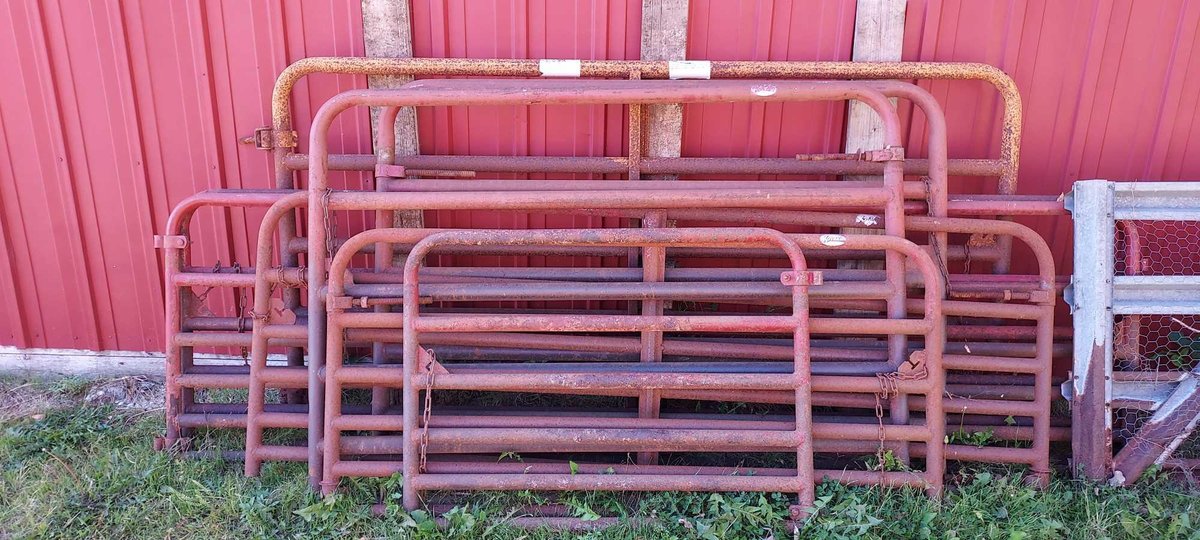 ASSORTMENT OF CATTLE GATES, VARIOUS SIZES