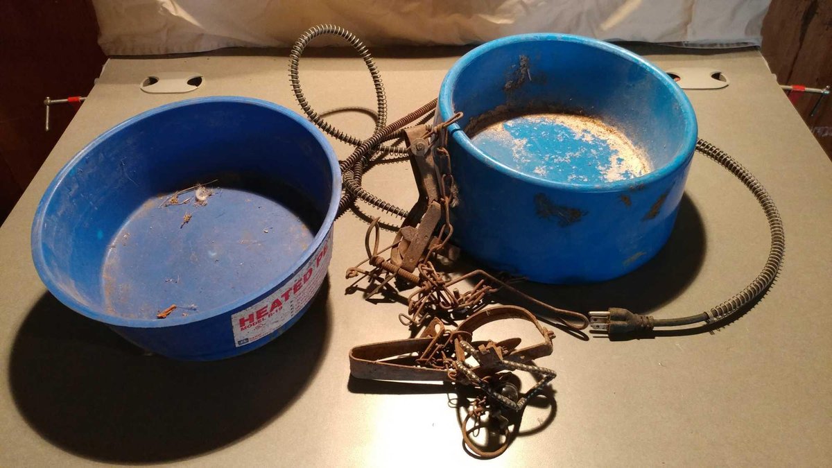 (2) HEATED PET DISHES AND (2) GOPHER TRAPS