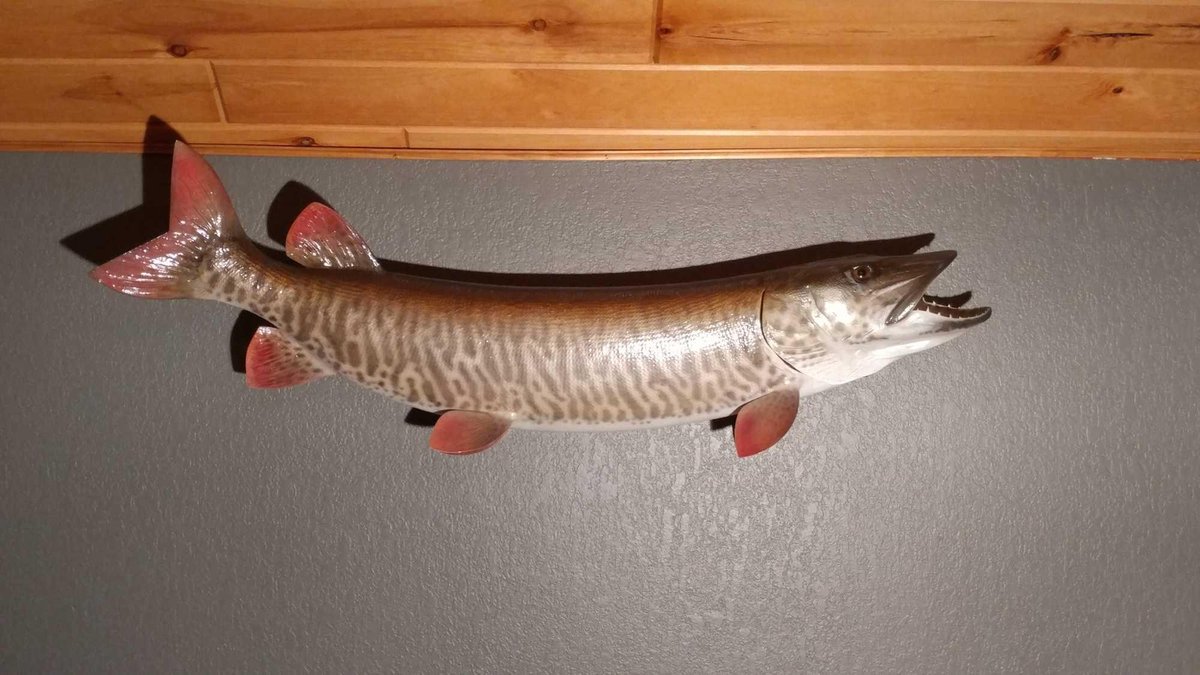 (A-3) 48" MUSKIE MOUNT