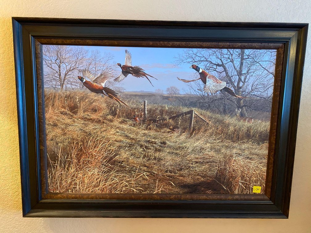  (A1-SPRUCE) PHEASANT PRINT 43"X31"