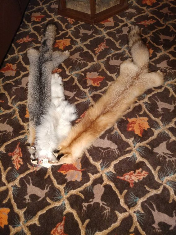 (A-3) ASSORTMENT OF PELTS AND WOLF PAW