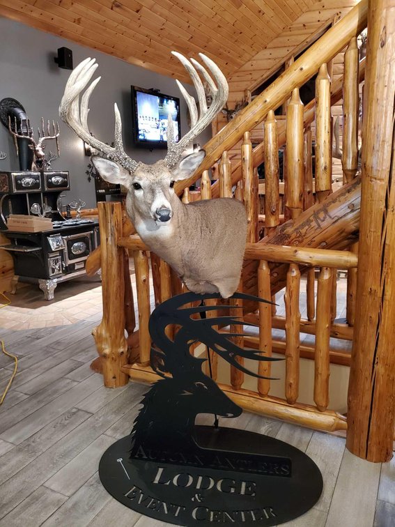 (A2) 10 POINT TYPICAL SHOULDER MOUNT ON METAL STAND 