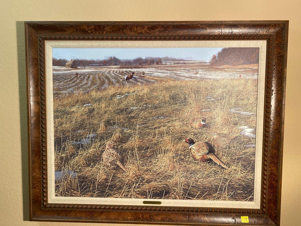  (A1-HALL) GRASSLAND SPLENDOR PHEASANT PRINT SCOT STORM 39"X31"
