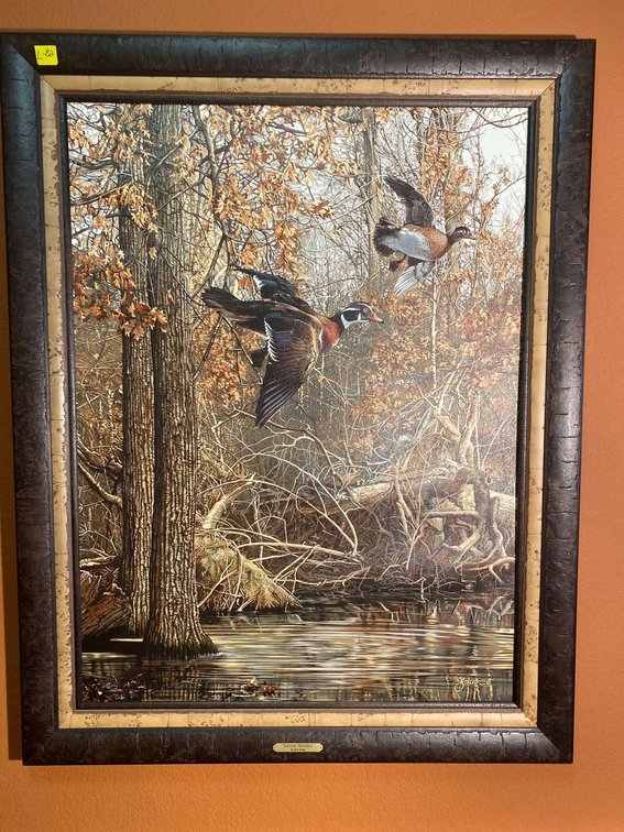  (A1-HALL) LAGRUE WOODIES WOOD DUCK  PRINT SCOT STORM 33"X42" 9/20