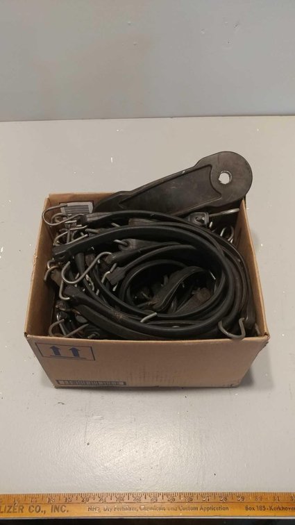 LARGE ASSORTMENT OF BUNGEE CORDS (VARIOUS SIZES)