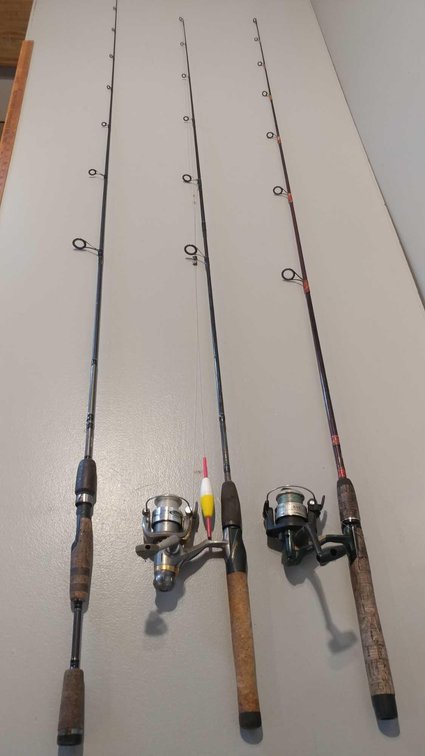 (3) FISHING RODS & (2) REELS (BRANDS: SHIMANO, SHAKESPEARE, & BASS PRO)