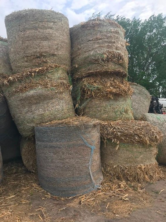 (10) CORN STALK BALES NET WRAP (FOR MORE INFORMATION & LOCATION CALL DAVE @ 320-760-0736)