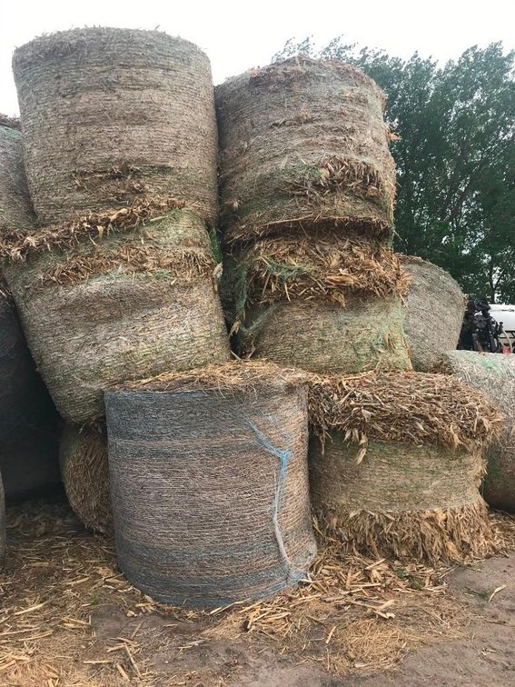 (10) CORN STALK BALES NET WRAP (FOR MORE INFORMATION & LOCATION CALL DAVE @ 320-760-0736)