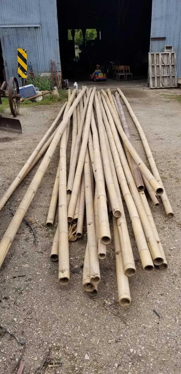 ROUGHLY 25 APPROX. 25 TO 30 FT, BAMBOO POLES
