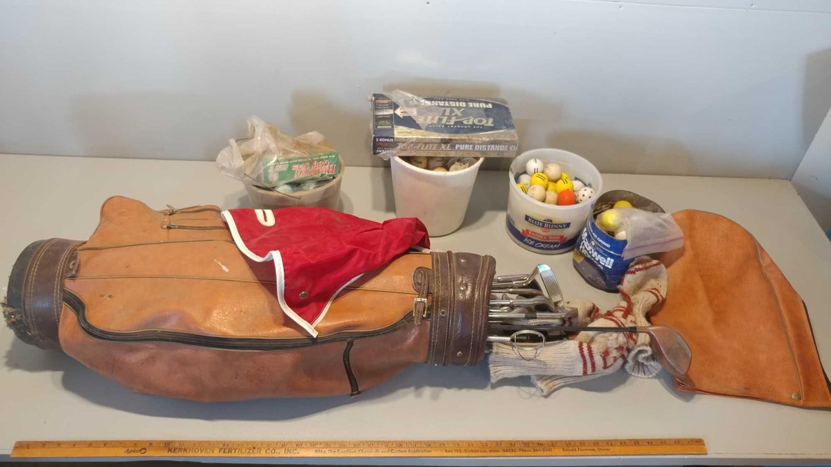 GOLF CLUB SET & BAG (WILSON IRONS 2, 3, 4, 5, 6, 7, 8, 9, Ps, & MISC. WOODS) & ASSORTMENT OF BALLS
