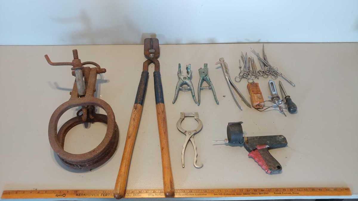 ASSORTMENT OF CARE EQUIPMENT FOR CATTLE 