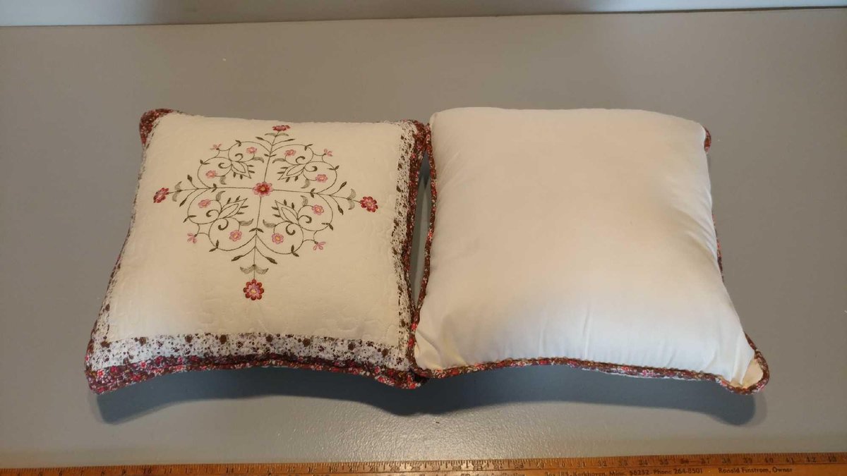 (2) DECORATIVE PILLOWS