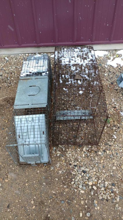 (I-593) (2) LIVE ANIMAL TRAPS (LOCATED AT ZIELSDORF AUCTIONS)