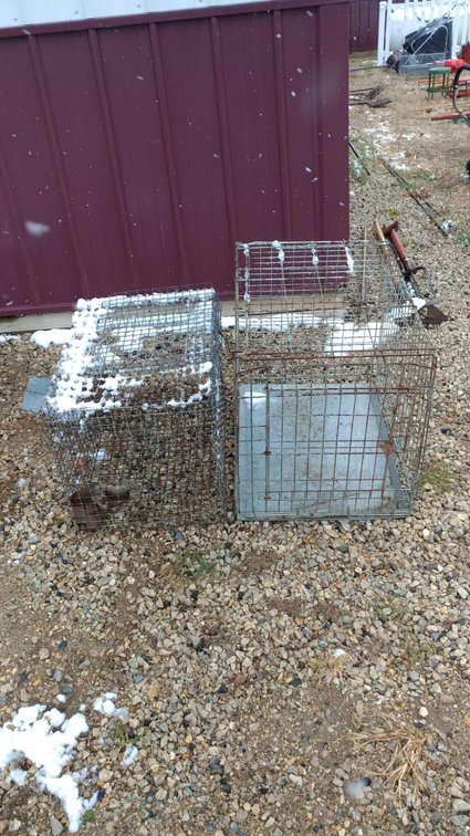 (I-594) (2) ANIMAL CAGES (LOCATED AT ZIELSDORF AUCTIONS)