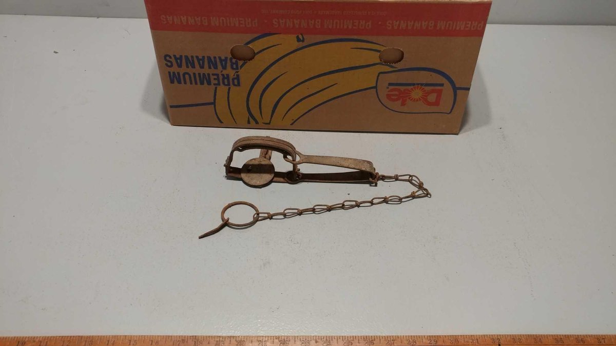(I-589) ASSORTMENT OF SINGLE SPRING FOOT HOLD TRAPS (LOCATED AT ZIELSDORF AUCTIONS)