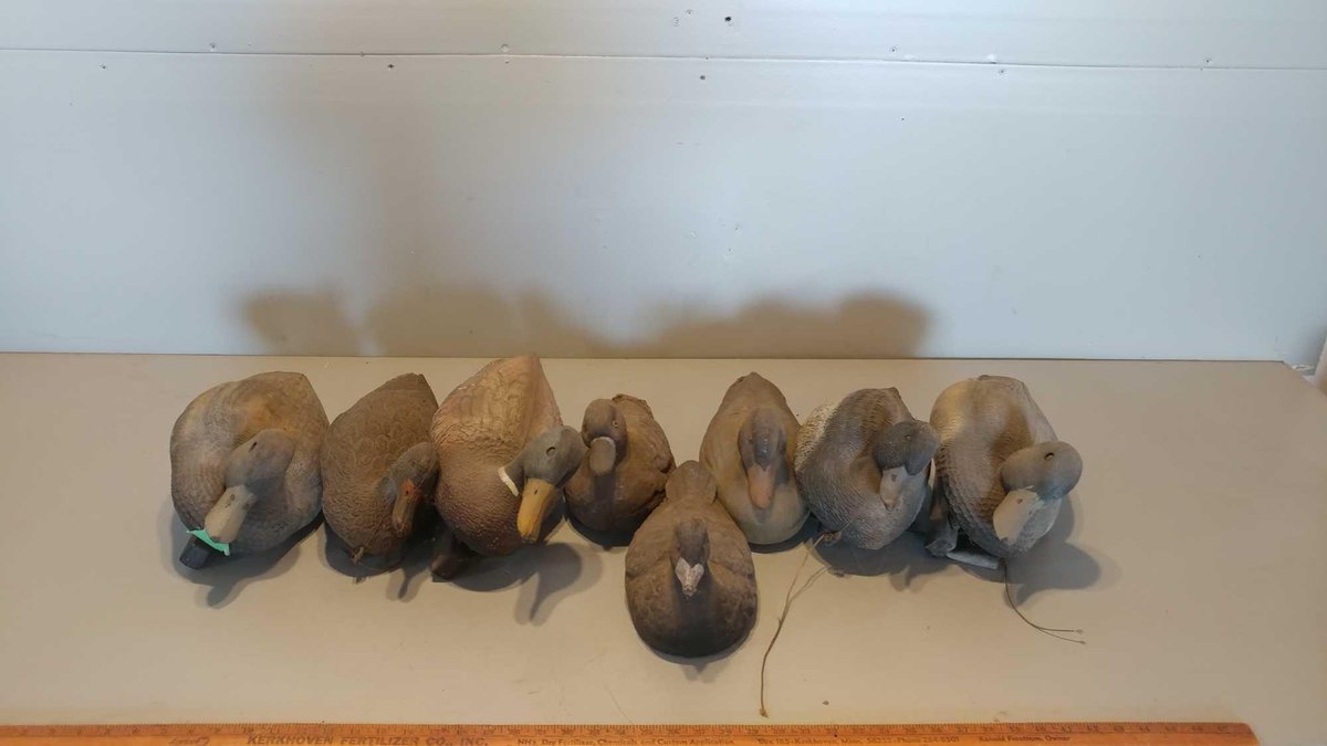 (I-18) (8) FLOATING MALLARD DUCK DECOYS, (ITEMS AT ZIELSDORF AUCTIONS)