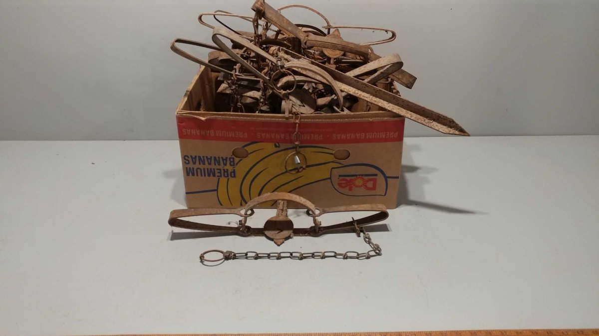 (I-588) ASSORTMENT OF LARGE DOUBLE SPRING FOOT HOLD TRAPS (LOCATED AT ZIELSDORF AUCTIONS)